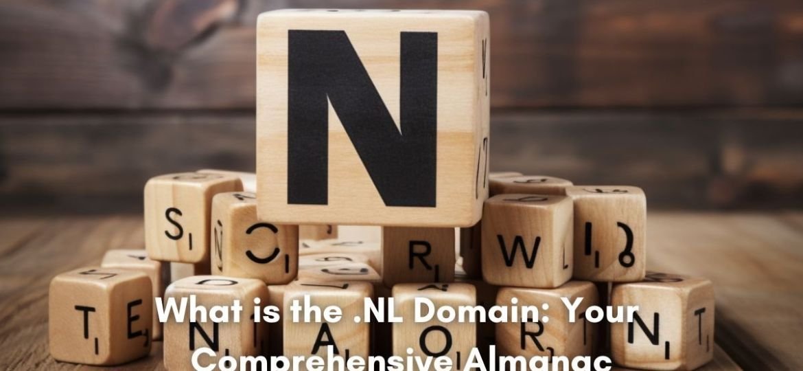What is the .NL Domain: Your Comprehensive Almanac